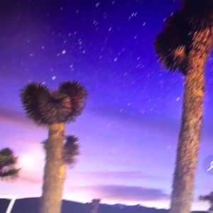 Meet your Posher, Ellen